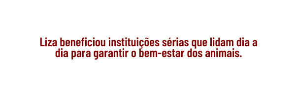 Liza beneficiou instituições sérias que lidam dia a dia para garantir o bem estar dos animais